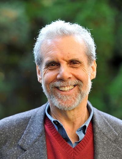 masterlifeflow.com_author_daniel-goleman